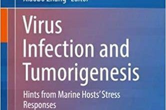 free-pdf-download-Virus Infection and Tumorigenesis: Hints from Marine Hosts’ Stress Responses 1st ed