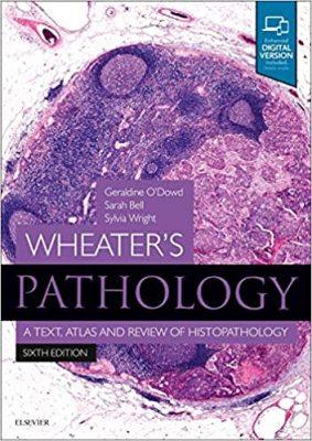 free-pdf-download-Wheater’s Pathology: A Text